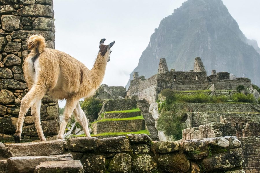 Machu Picchu Esencial: Paquete Todo Incluido desde Lima 2 Días