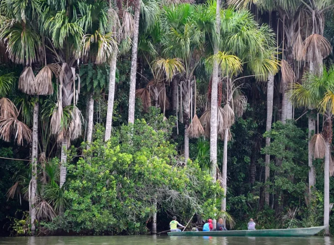 Tour a la Reserva Tambopata en la Amazonia 4 Dias
